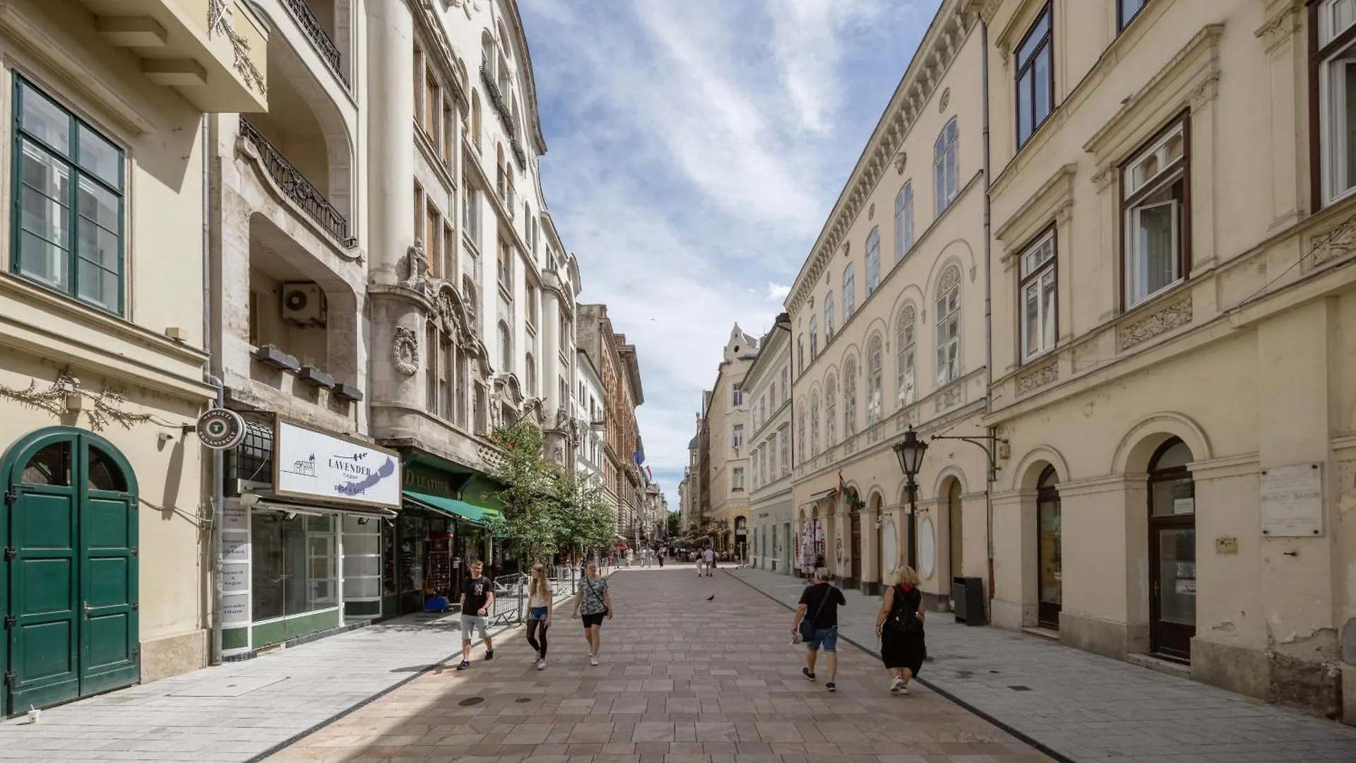Apartment Walk To Vaci Street - Live In Lux Designer Apt Budapest